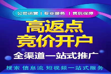 案例分析：高效信息流广告投放策略